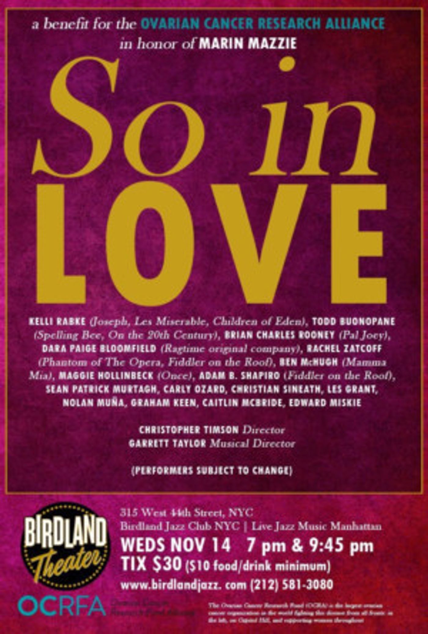 Birdland Theater Hosts Benefit in Honor of Marin Mazzie Todayth  Image