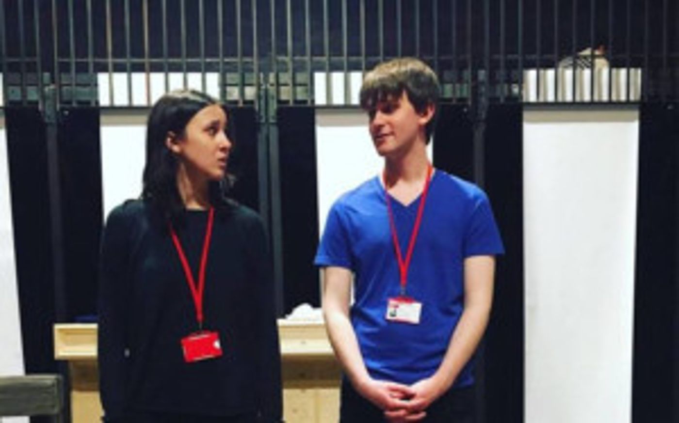 THE TRAGICAL COMICAL FOOL'S GAME Comes to The Capital Fringe Festival  Image