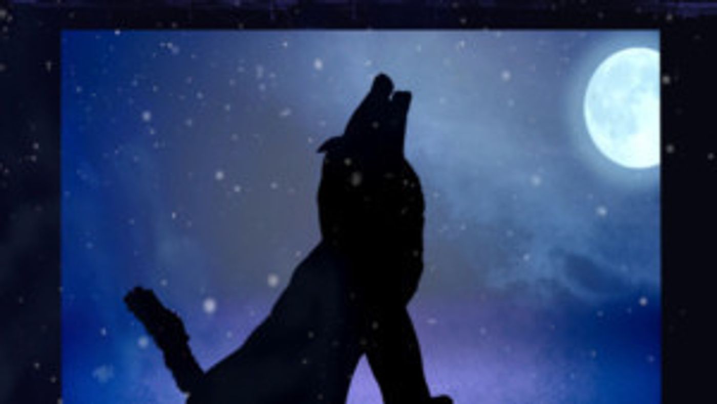 Shadow Show 3D – “Legends Of Ice And Flame”  Image