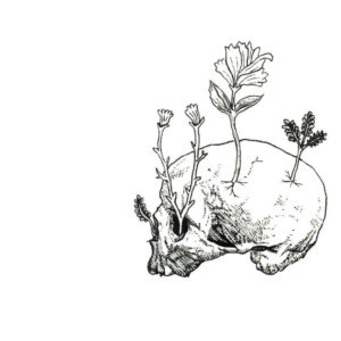 The Dionysian Launches ISSUE 004 At The Drama Book Shop!  Image