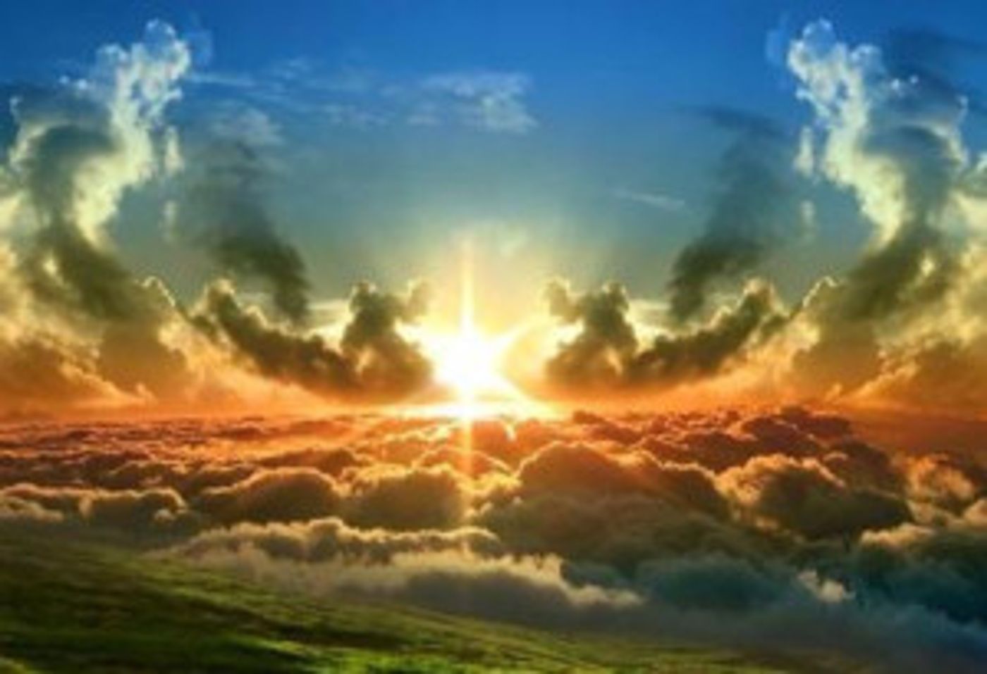 Camerata New York Announces DIVINE Opera Gala  Image