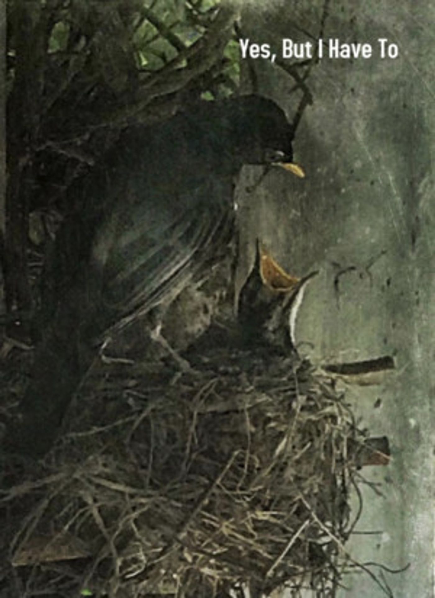 Addison Janney's Newest Play, YES BUT I HAVE TO, Premiers At Hard Bargain Amphitheater This Winter  Image