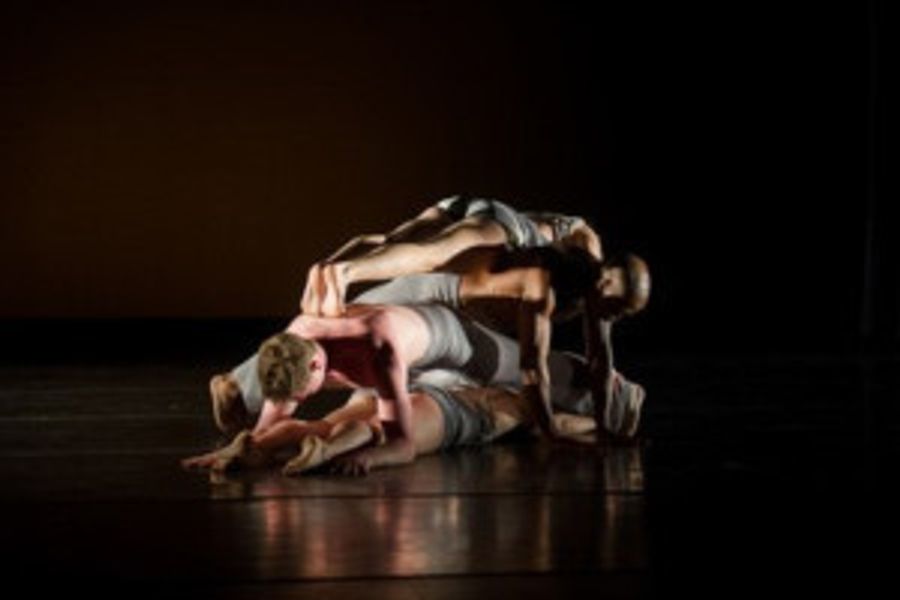 Carolyn Dorfman Dance Hosts Gala Benefit And Performance Image