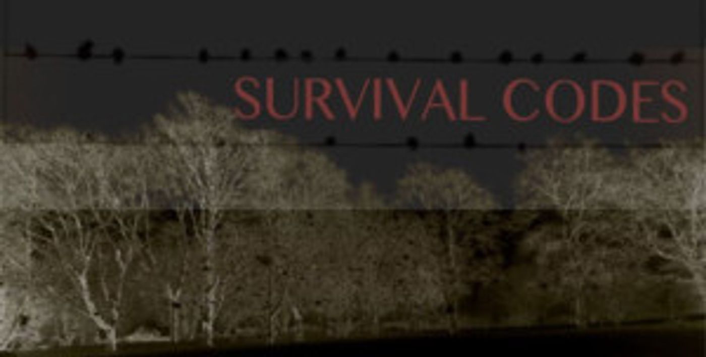 Brooklyn Music School Presents SURVIVAL CODES, A New Play By Pianist/Composer Alon Nechushtan  Image