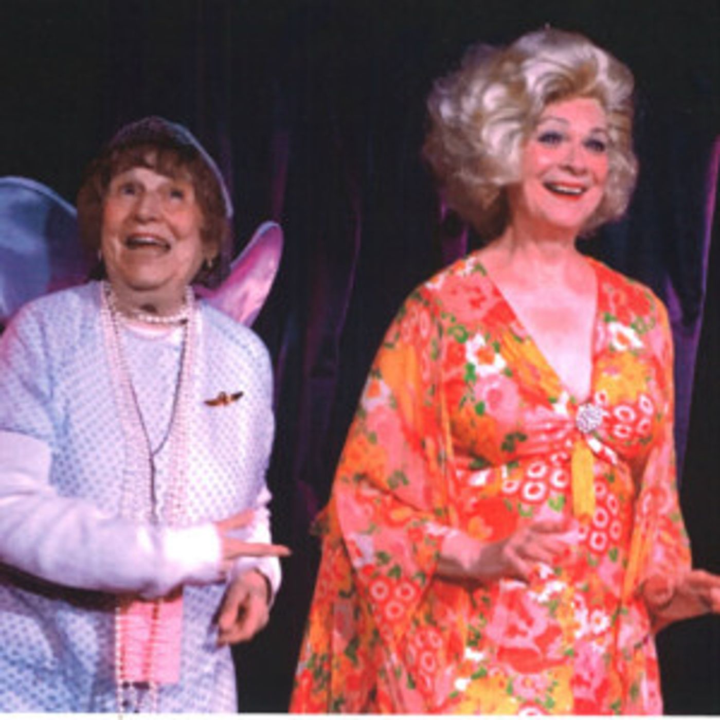 DR. JULIA WONDER AND BIRDIE THE TISSUE FAIRY Comes to Guild Hall This Month  Image