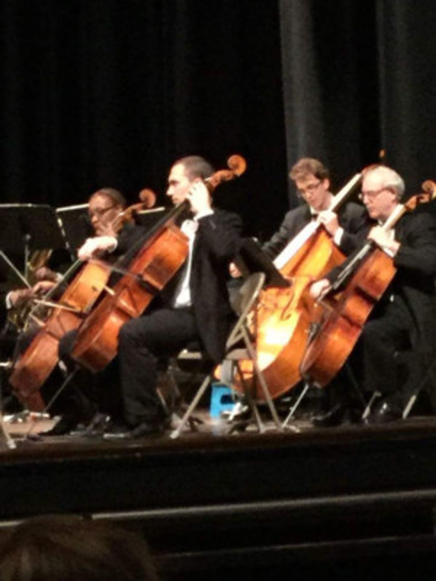 The Richmond County Orchestra Presents PATRIOTIC PORTRAIT, A Musical Feast And Italian Fare Concert  Image