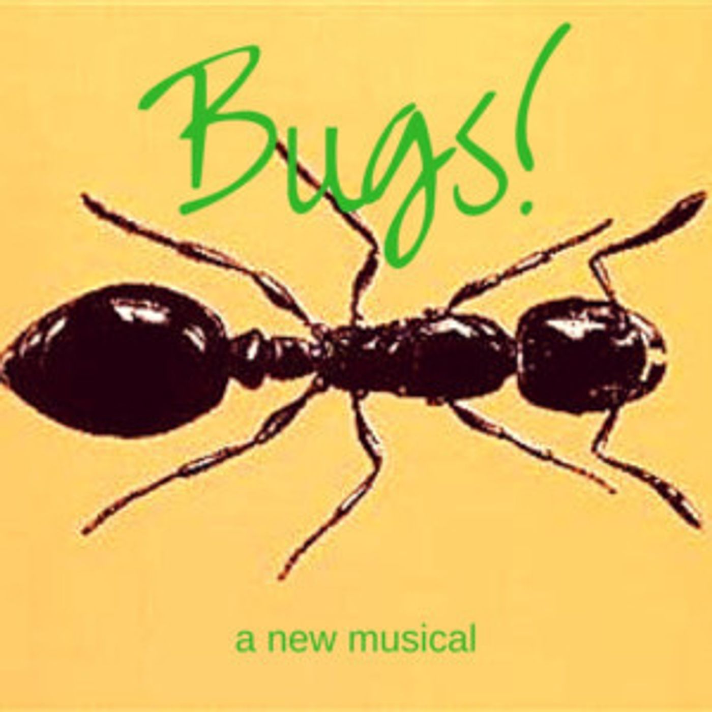 World Premiere Musical, BUGS!, Asks Audiences To Consider The Little Things  Image