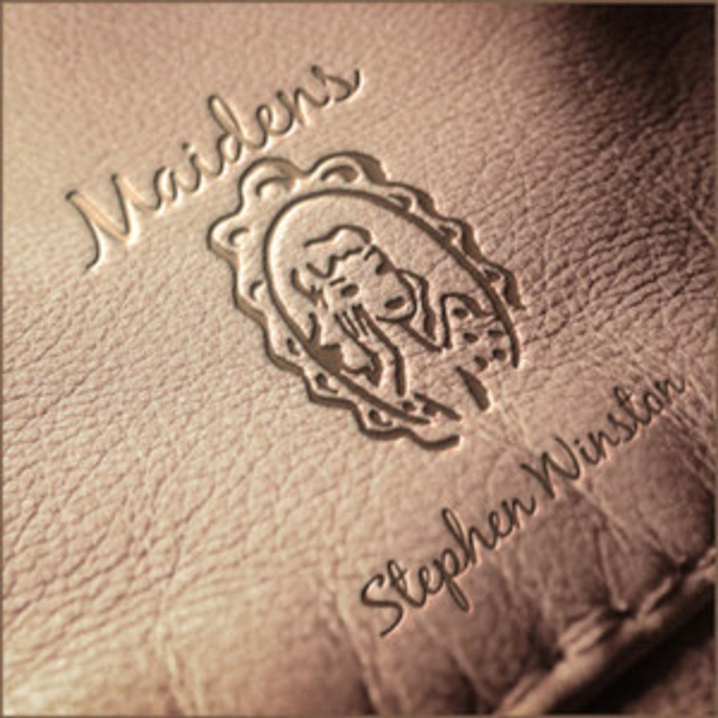 Singer-Songwriter Stephen Winston Hits The Airwaves with New Single 'Maidens'  Image