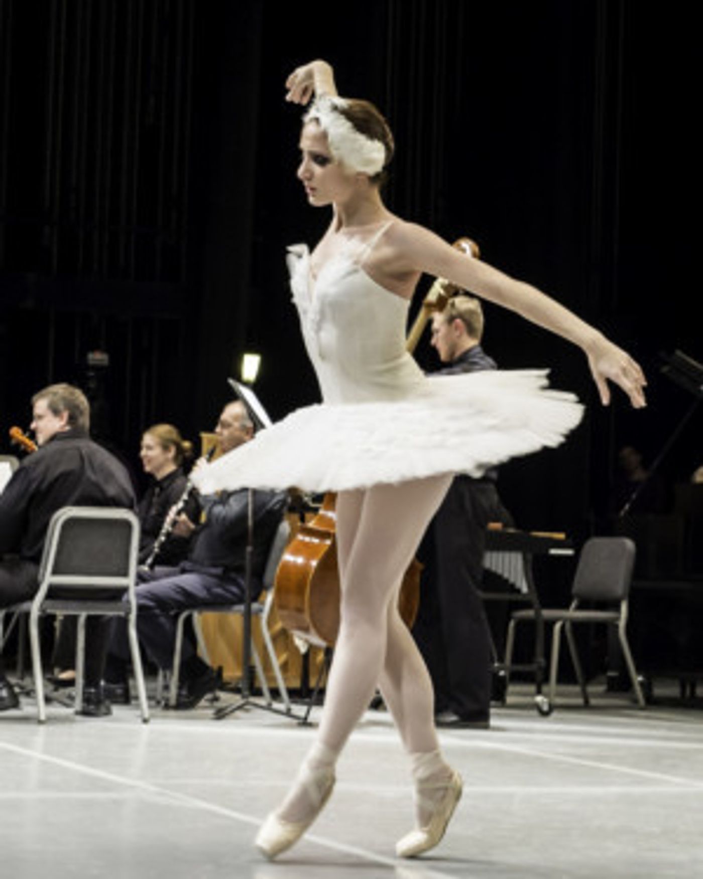 Delaware County Symphony Presents THE CARNIVAL OF THE ANIMALS  Image