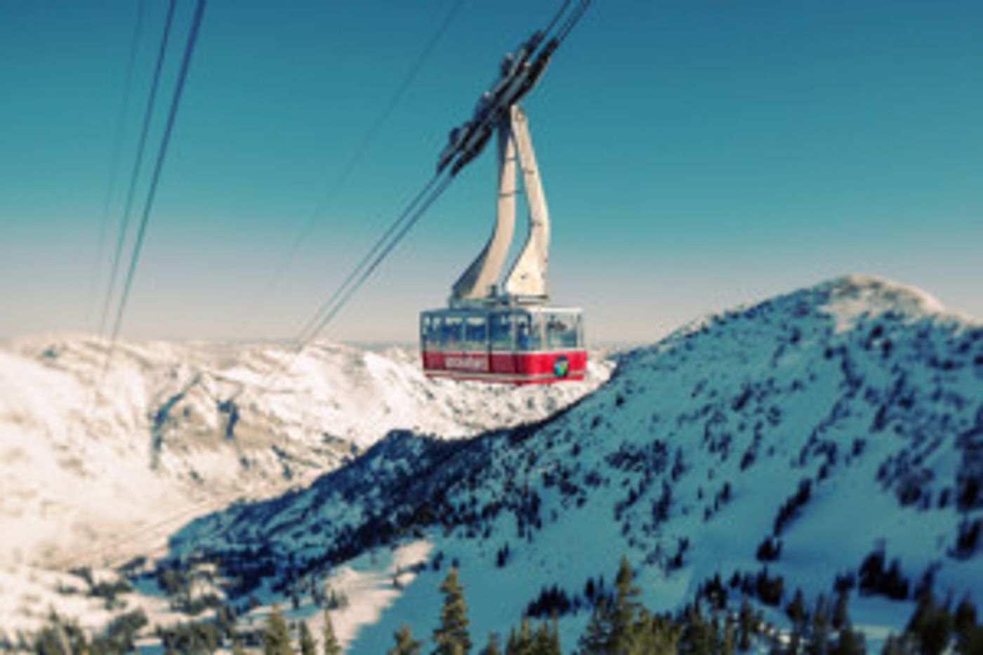 Music-Fueled Climate Campaign Aims To Energize Voters With Live Concerts Inside Aerial Ski Tram  Image