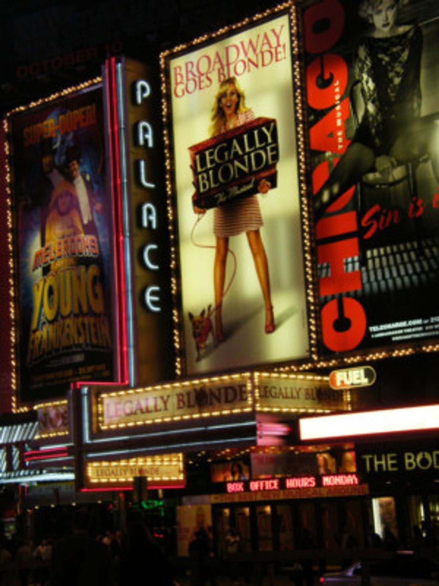 New Details Emerge for Palace Theatre Renovation  Image