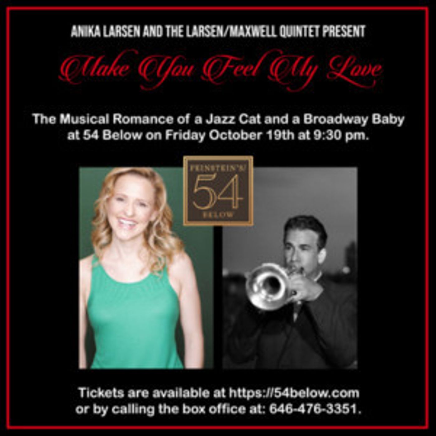 Anika Larsen And The Larsen/Maxwell Quintet Present  MAKE YOU FEEL MY LOVE  Image