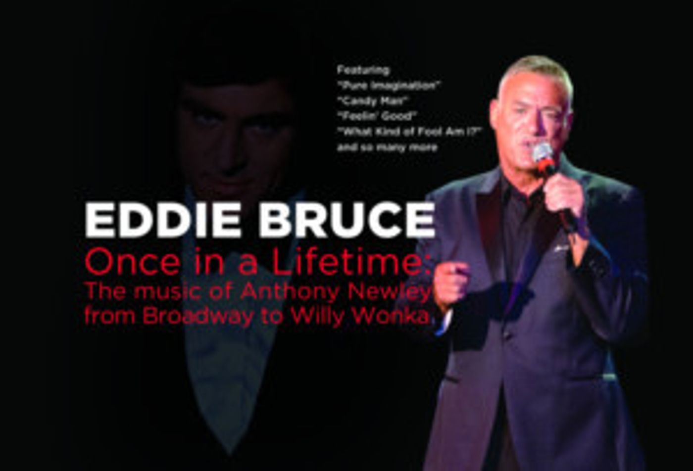 Once In A Lifetime:  Eddie Bruce Celebrates Anthony Newley  Image