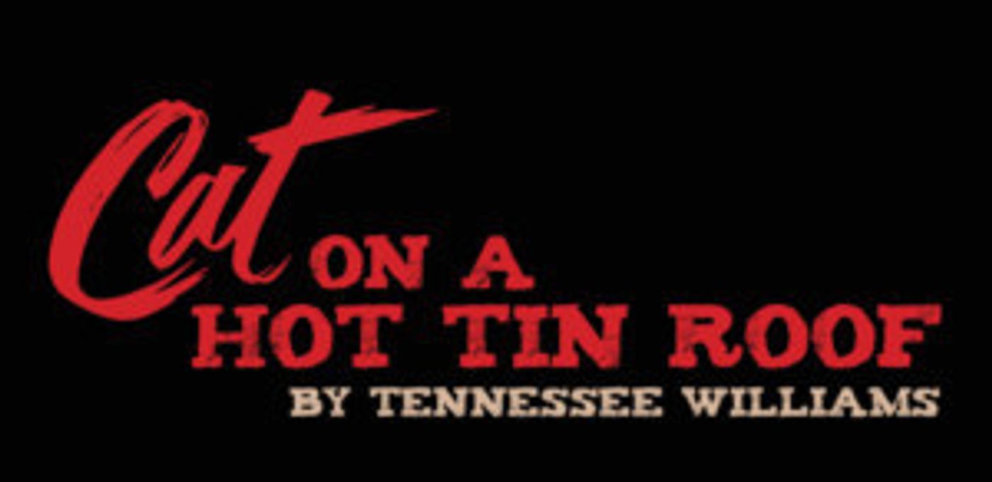 Andrea Lynn Green And Michael Raver To Lead MTC Mainstage's CAT ON A HOT TIN ROOF  Image