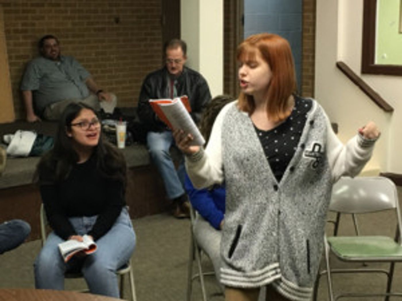 ANNE OF GREEN GABLES Comes to Prince William Little Theatre  Image