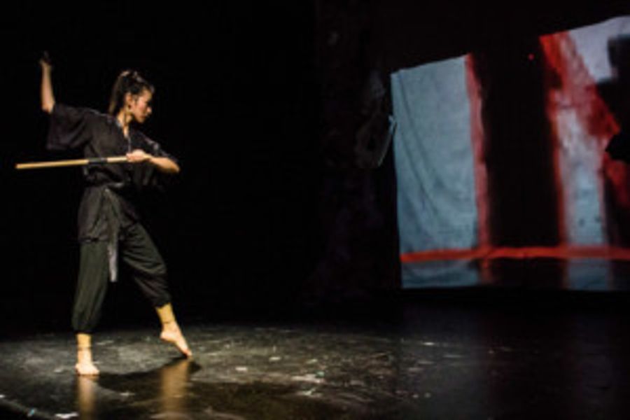 Ninja Ballet 2018 Season to Fuse Ballet And Martial Arts Image