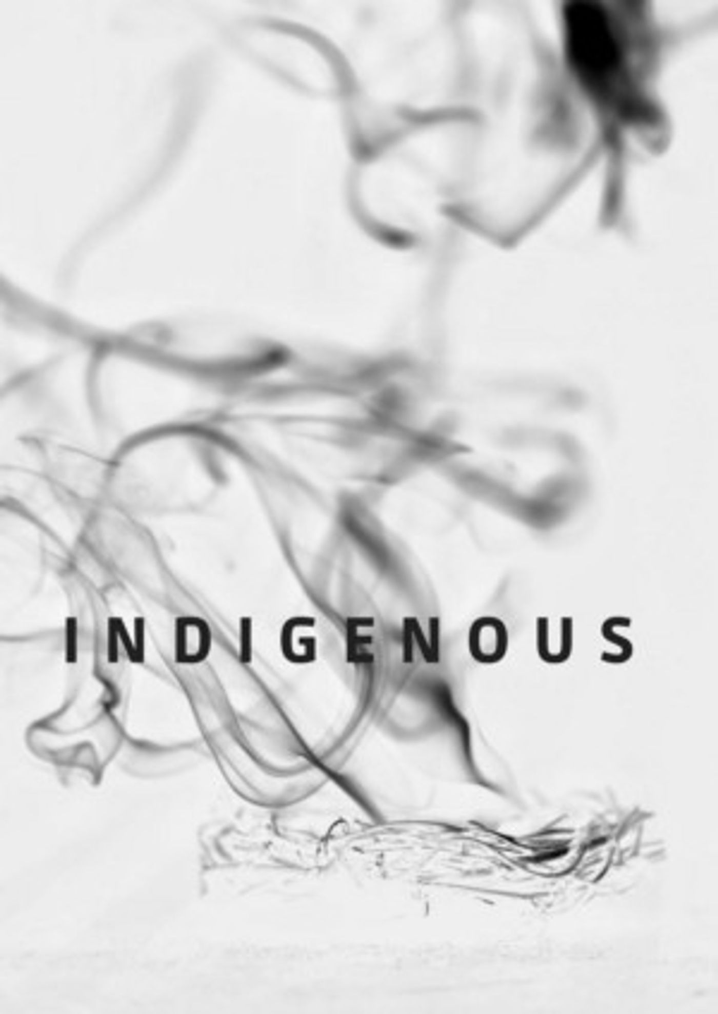 No Peeking Theatre Presents INDIGENOUS At Jersey Art Exchange  Image