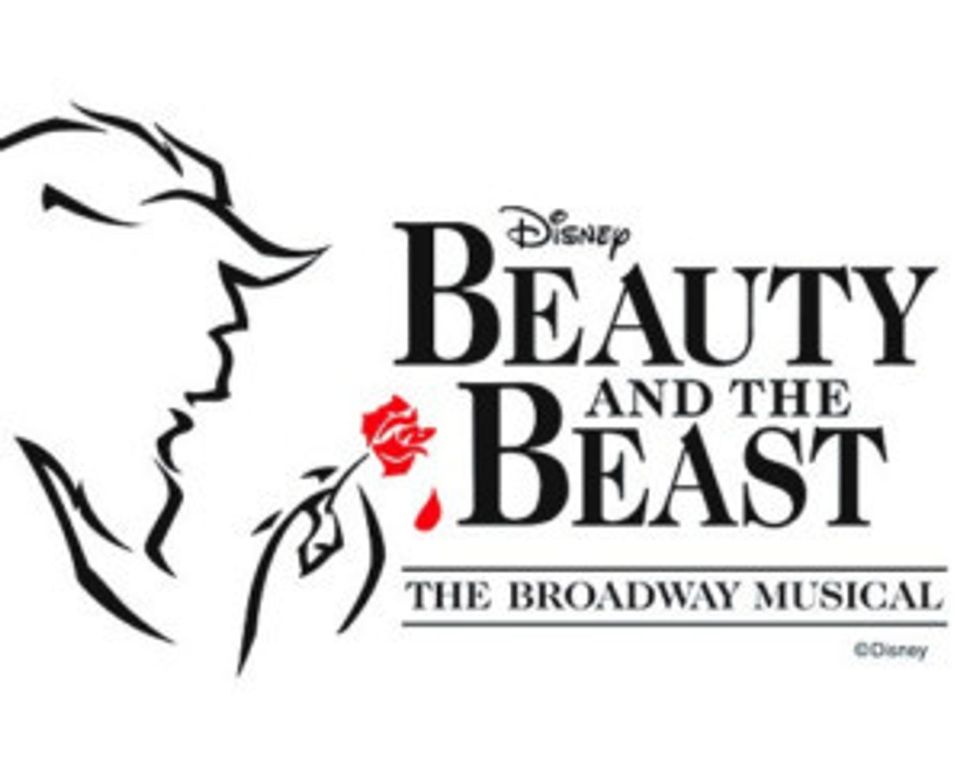 Be Our Guest ~ Town Theatre Gives Back To My First Books SC  Image