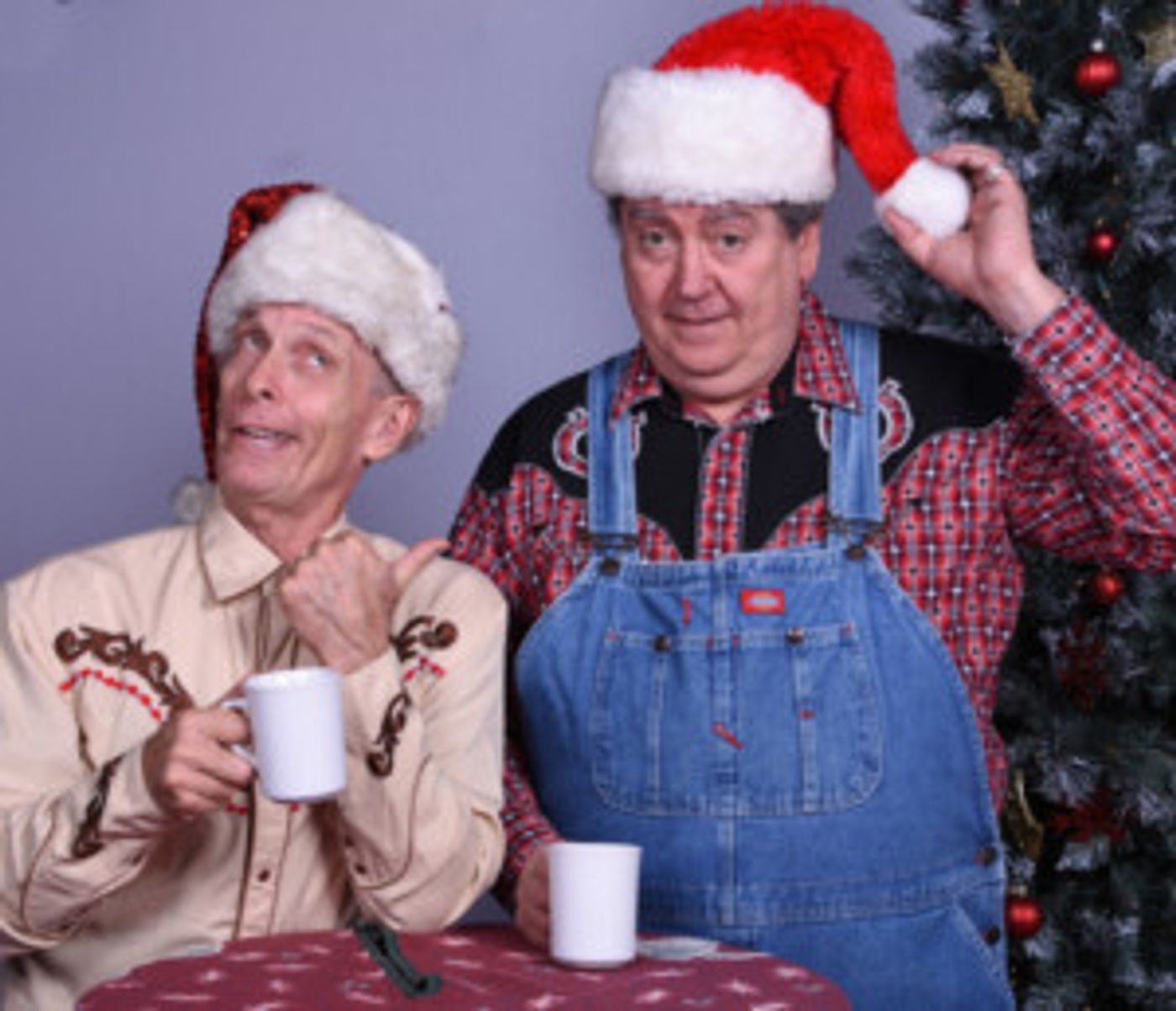 Davisson Entertainment to Present Two Holiday Shows At The Hardes Theatre  Image