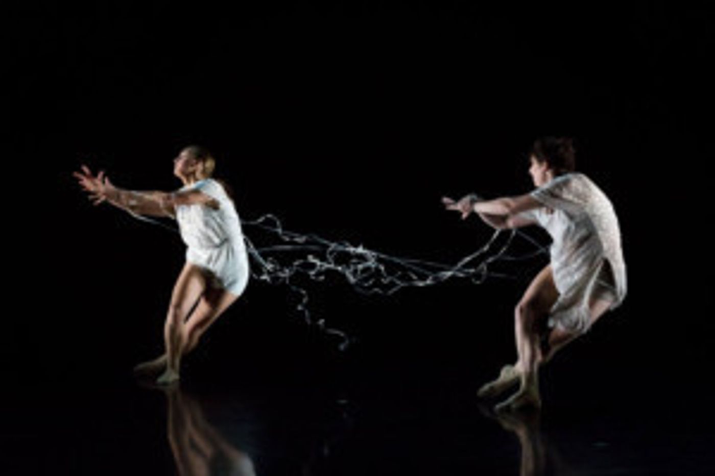 In Two Weeks DANCE GALLERY FESTIVAL Begins its 11th Year  Image