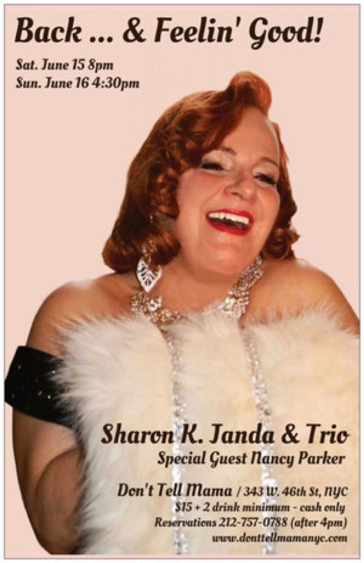 World Class Trio Backs Sharon K. Janda At Don't Tell Mama  Image