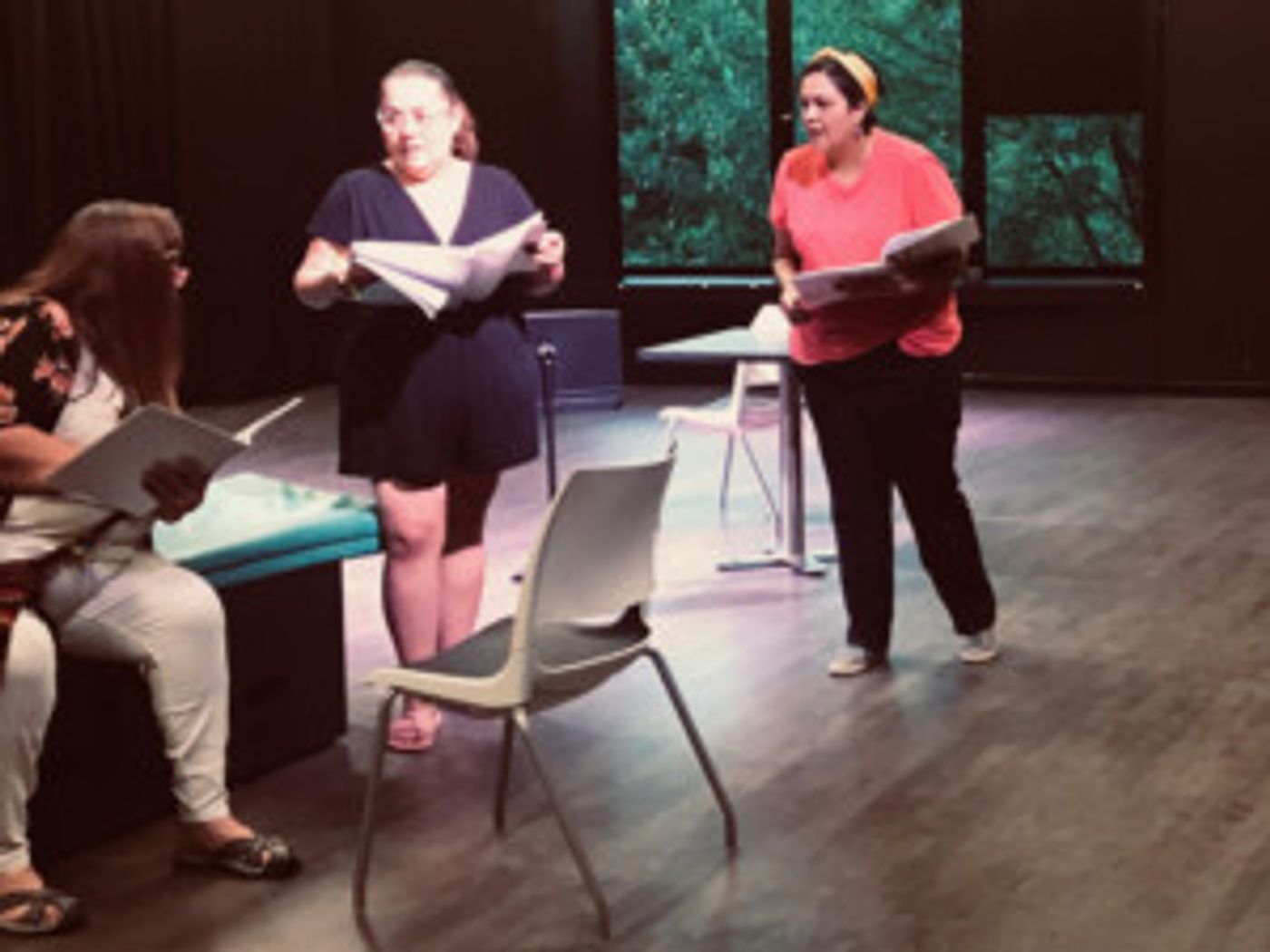 Native American New Play Festival Announces Cast For Featured Play NEECHIE-ITAS  Image