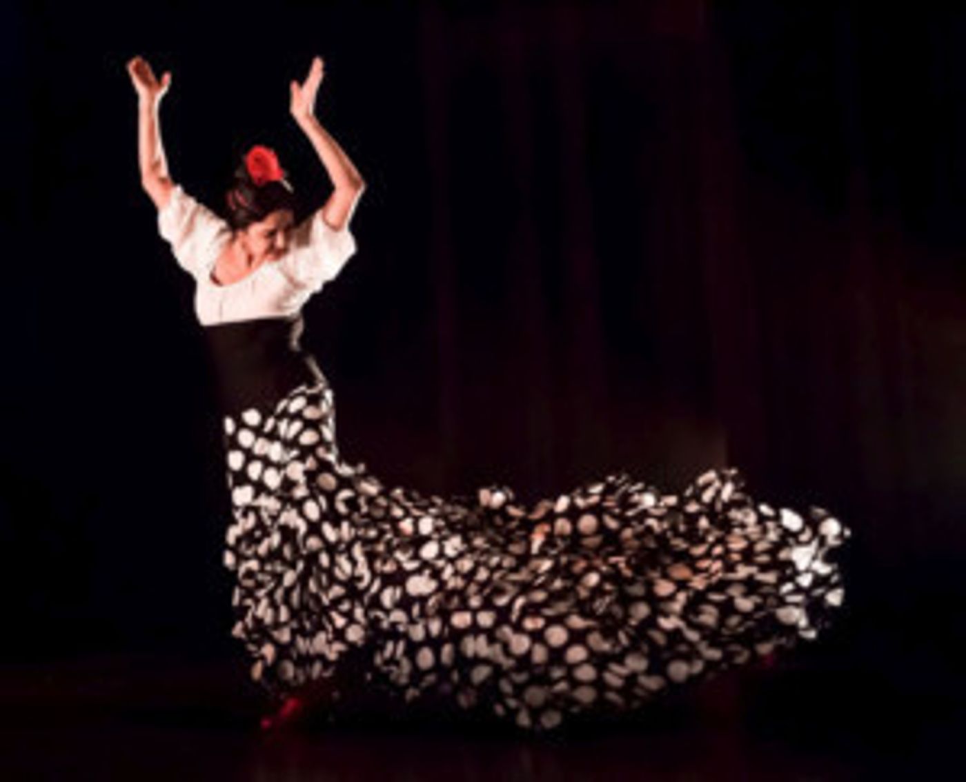 DanceWorks presents 40th Anniversary Celebration Show  Image