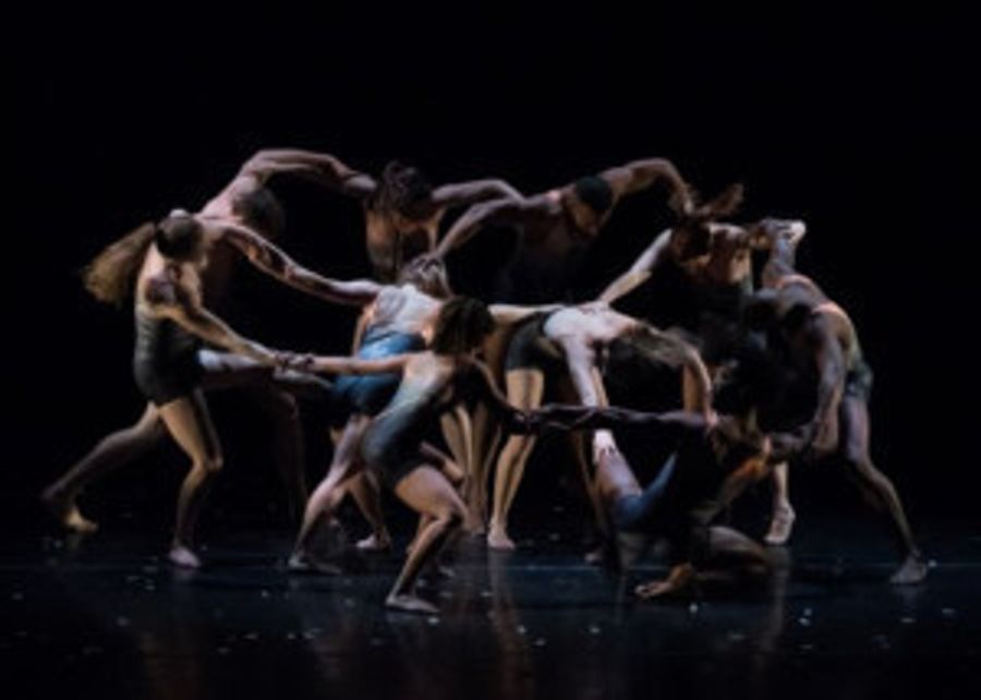 Carolyn Dorfman Dance Announces 2018-19 Season  Image