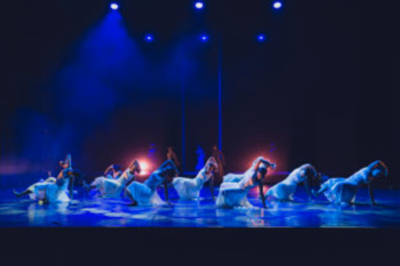 South Africa's Premier Integrated Arts Platform To Celebrate People With Disabilities Image