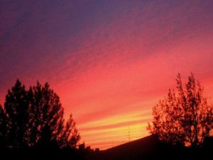 LaGuardia High School of Music & Art and Performing Arts to Perform Peri Mauer's 'Red Sky'  Image