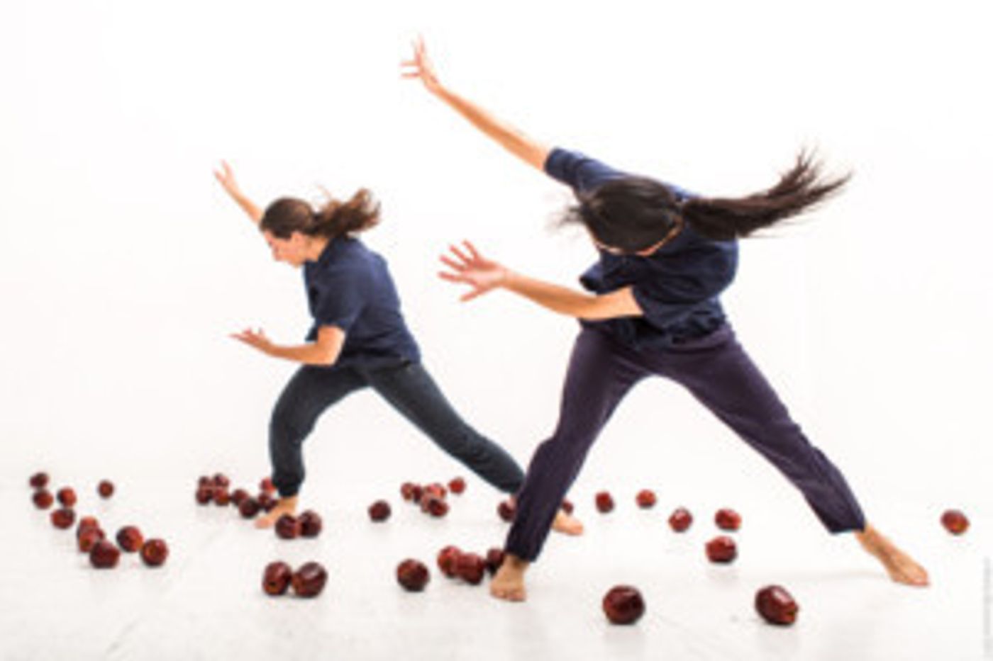 Stefanie Nelson Dancegroup Presents A MY NAME IS...this December  Image