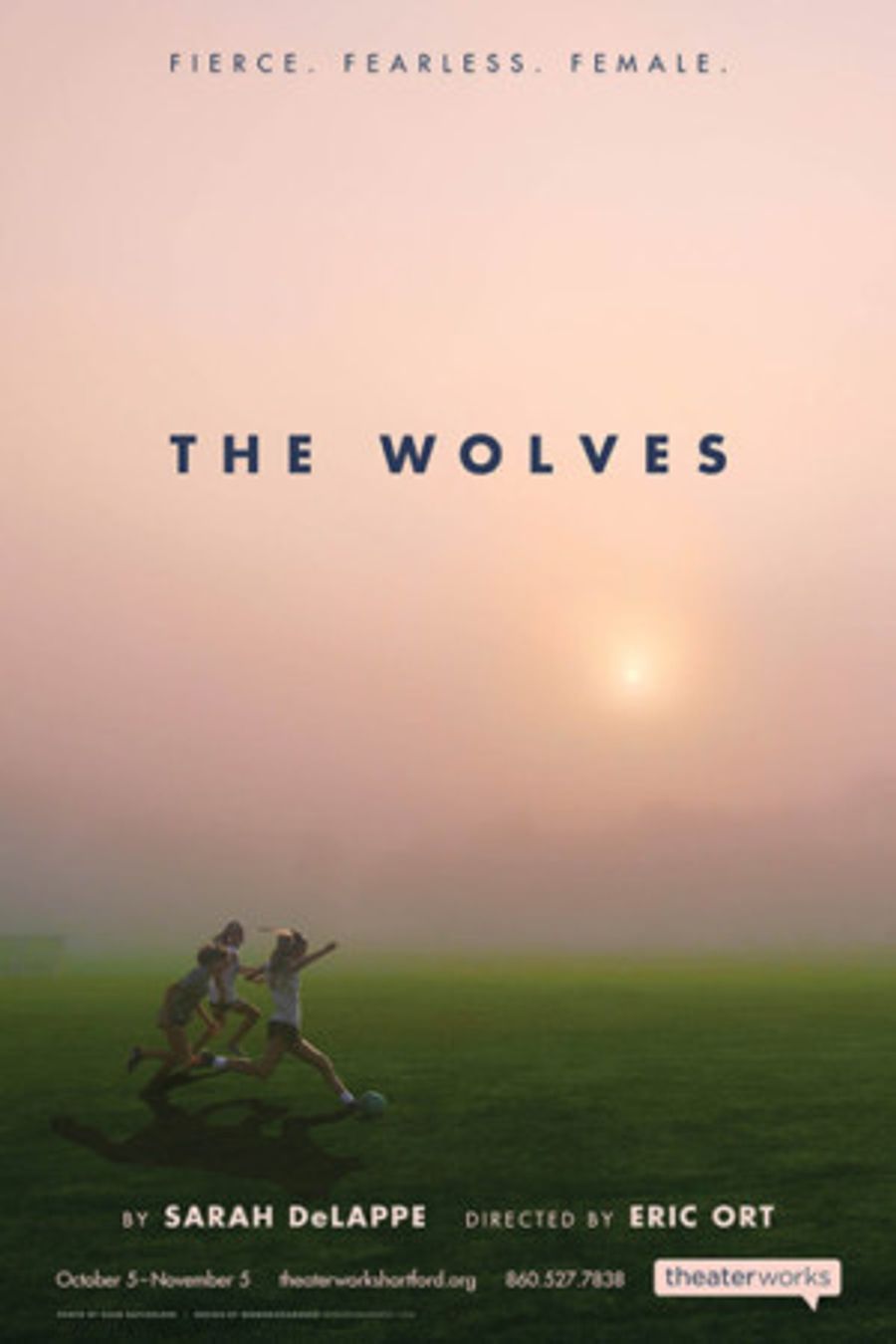 THE WOLVES at TheaterWorks Extends Again to 11/12  Image