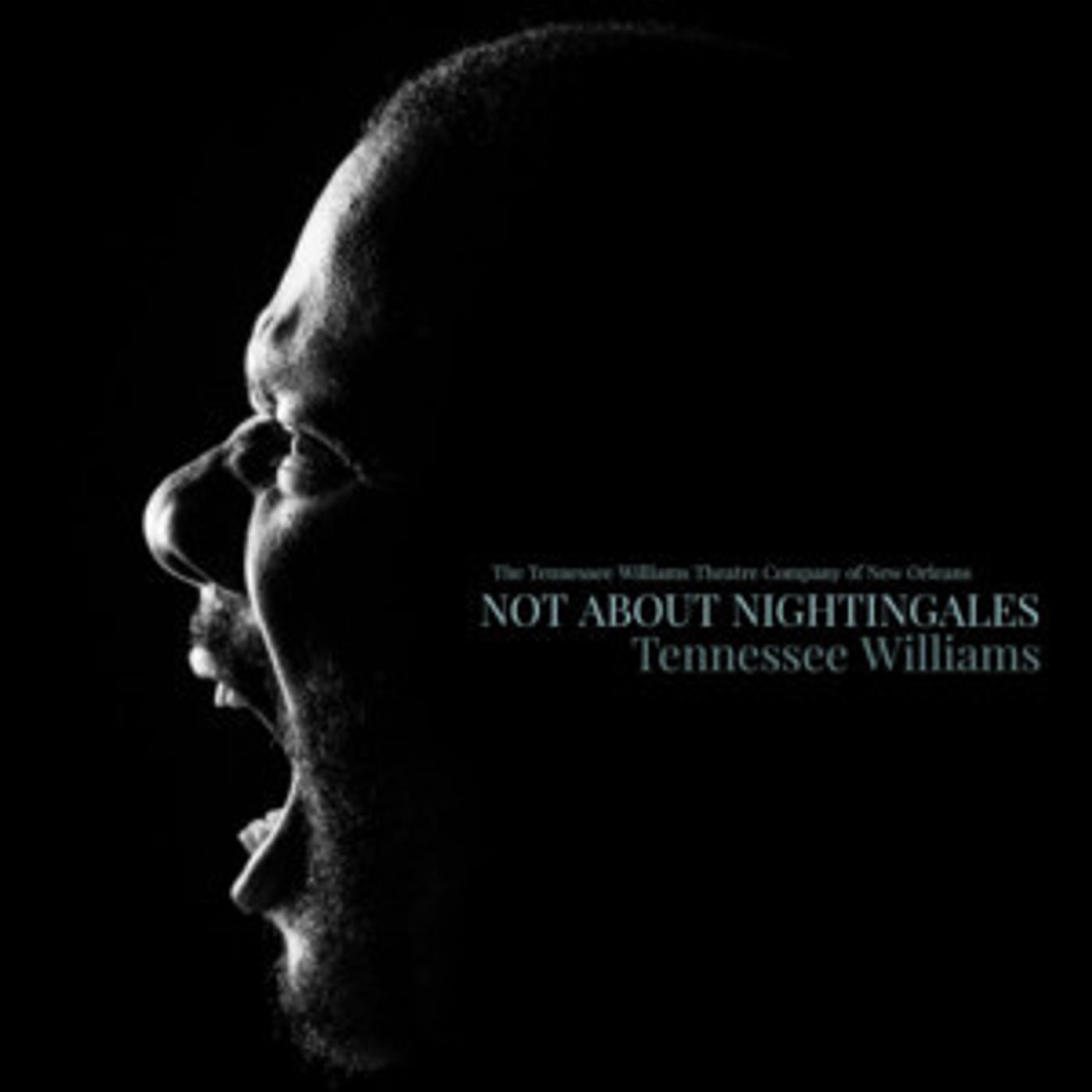The Tennessee Williams Theatre Company of New Orleans Presents NOT ABOUT NIGHTINGALES  Image