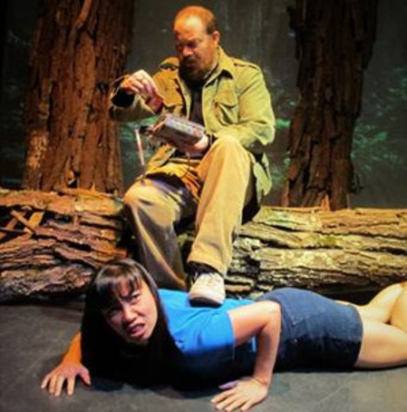 Lanford Wilson Weaves a Contemporary Fairy Tale in Bridge Street's REDWOOD CURTAIN  Image