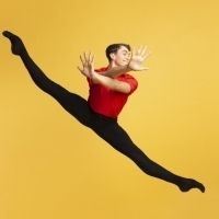 National Youth Ballet Announces 2019 Season: Wonderlands