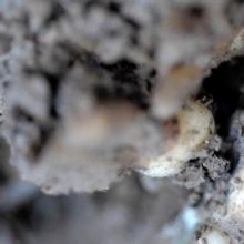 The Rose Art Museum Announces It Will Now Be Open Year Round