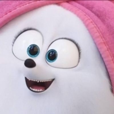 VIDEO: Watch the Lyric Video For New Track From THE SECRET LIFE OF PETS 2
