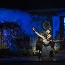 BWW Review: THE MOTHER, Queen Elizabeth Hall, Southbank Centre