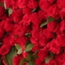 Tony Awards Red Carpet To Pay Tribute To Pride Month