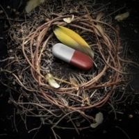 CHRYSANTHEMUMS, OR THE DEATH OF LIÙ to Premiere at Hungarian State Opera