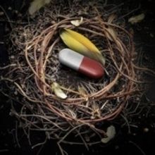 CHRYSANTHEMUMS, OR THE DEATH OF LIÙ to Premiere at Hungarian State Opera