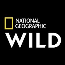Nat Geo WILD to Premiere OUT THERE WITH JACK RANDALL