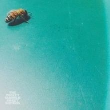 The Rocket Summer Shares New Single MORNING LIGHT, New Album Out 8/2