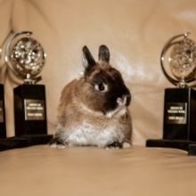 Photo Coverage: The Company of THE FERRYMAN Celebrates Their Tony Victory!