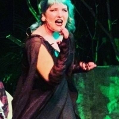BWW Review: INTO THE WOODS at The Repertory Theatre