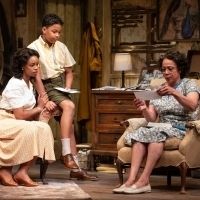 BWW Review: A RAISIN IN THE SUN at Williamstown Theatre Festival Breathes New Life in Photo