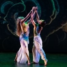 BWW Review: Stimulating dance festival WOMEN/CREATE! at Live Arts New York