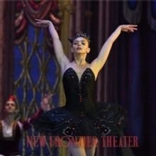 Photo/Video: The Show Must Go On for Moscow Ballet's SWAN LAKE in Manila; Show Runs N