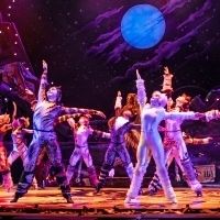 BWW Review: CATS at Starlight Theatre