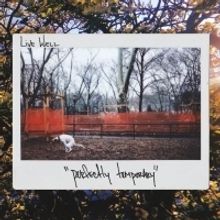 Live Well Announces PERFECTLY TEMPORARY Out 9/6